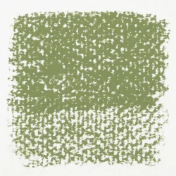 Rembrandt Softpastel Perm. Green Lgt 618.3