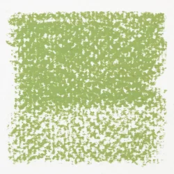 Rembrandt Softpastel Olive Green 620.8