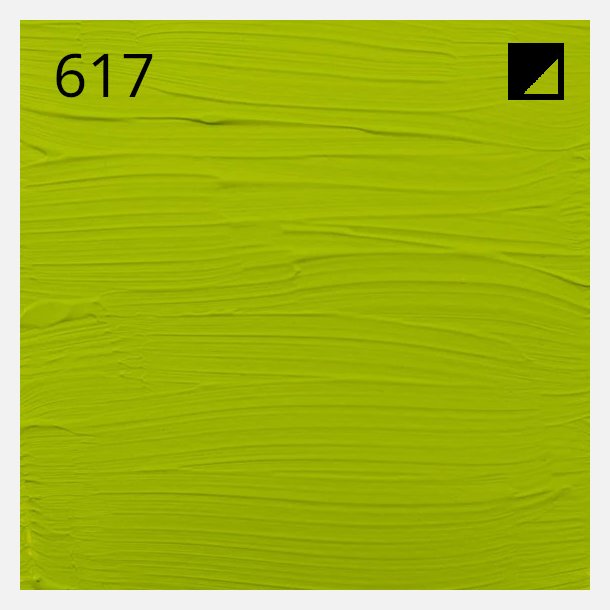 617 Yellowish Green -  Amsterdam Expert 400ml 