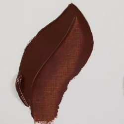 411 BurntSienna - Van Gogh Olie 200ml