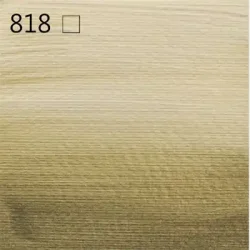 818 Pearl Yellow - Amsterdam Standard 120ml 