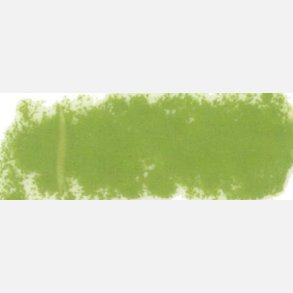 Rembrandt Softpastel Olive Green 620.7