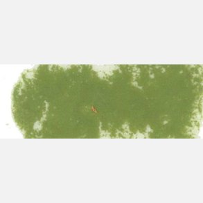 Rembrandt Softpastel Perm. Yellow Green 633.3