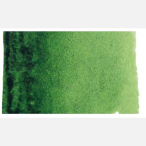 623 Sap Green - Rembrandt Akvarel 1/2 pan