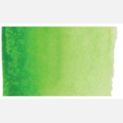 633 Permanent Yellowish Green - Rembrandt Akvarel 1/2 pan