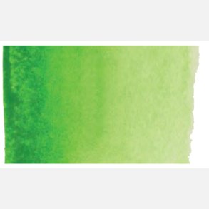 633 Permanent Yellowish Green - Rembrandt Akvarel 1/2 pan