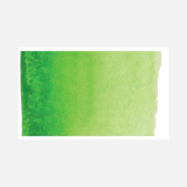 633 Permanent Yellowish Green - Rembrandt Akvarel 1/2 pan