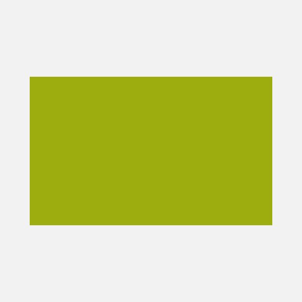 Amsterdam Akryl Spray - 621 Olive Green Light